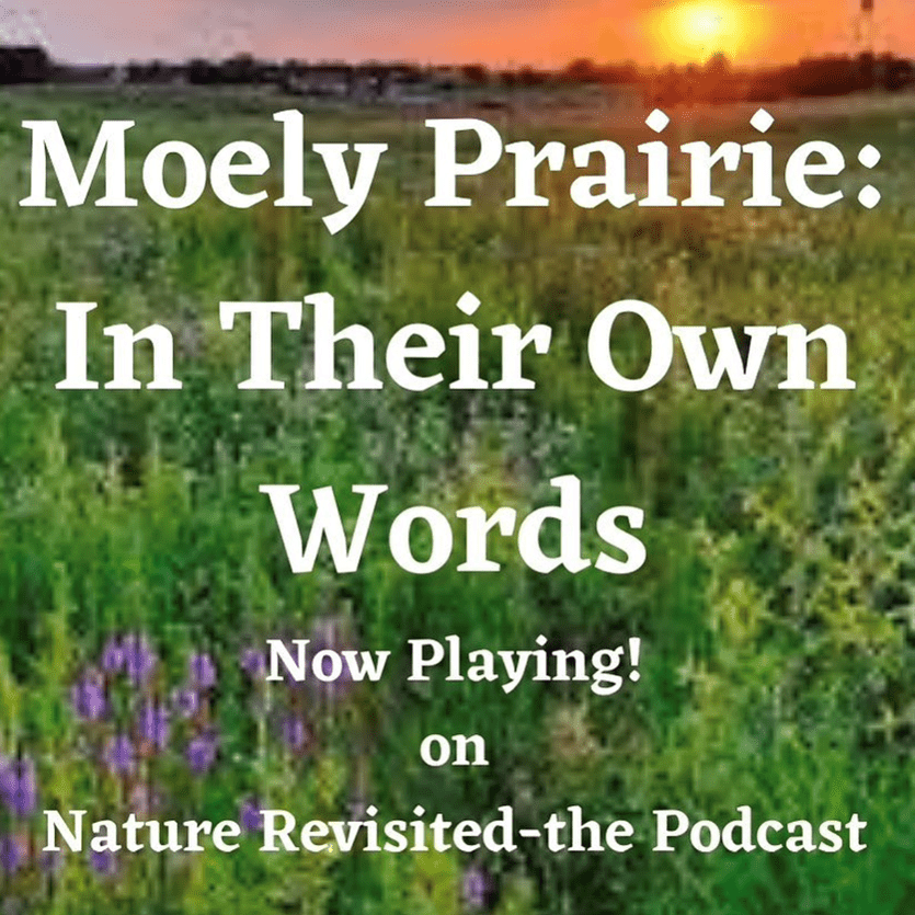Voices of Moely Prairie featured on Nature Revisited Podcast