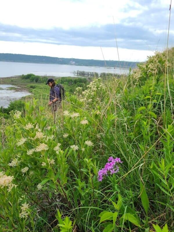 Coulee Region Prairie Enthusiasts