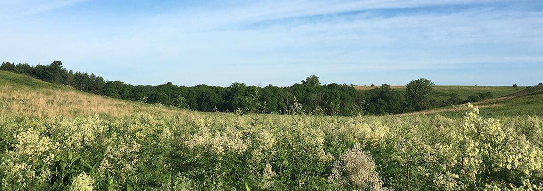 EMPIRE-SAUK FIELD TRIP