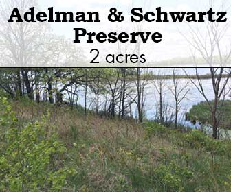 Adelman & Schwartz Preserve