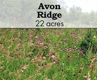 Avon Ridge