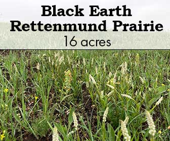 Black Earth Rettenmund Prairie