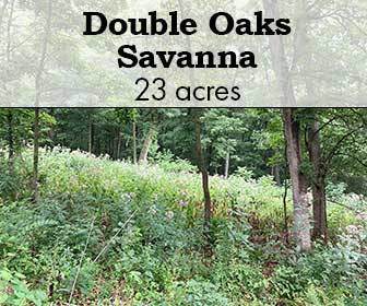 Double Oaks Savanna