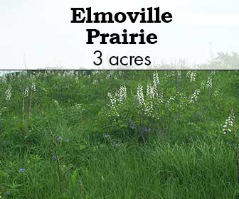 Elmoville Prairie