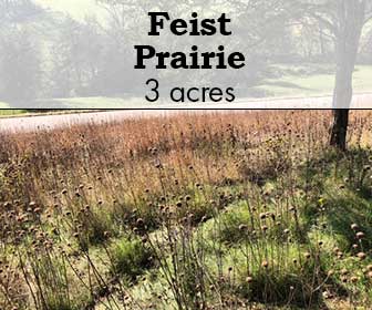 Feist Prairie