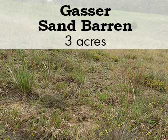 Gasser Sand Barren