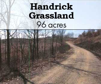 Handrick Grassland