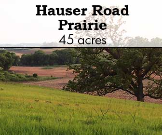 Hauser Road Prairie