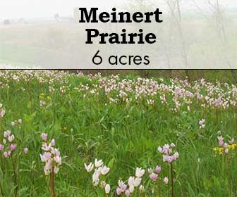 Meinert Prairie