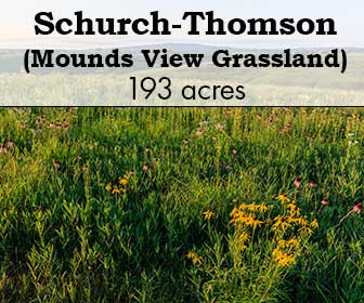 Schurch-Thomson Prairie