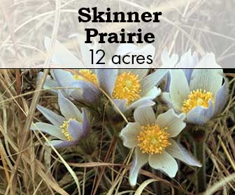 Skinner Prairie