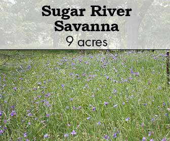 Sugar River Savanna