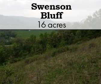 Swenson Bluff