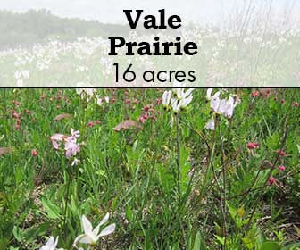 Vale Prairie