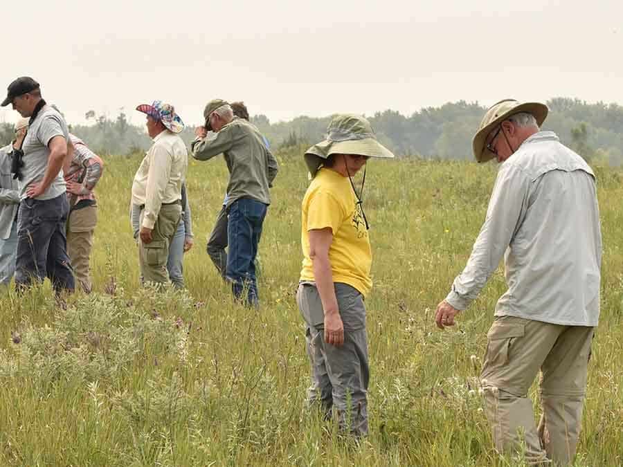 MINNESOTA OAK SAVANNA TOUR