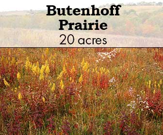 Butenhoff Prairie