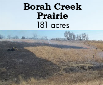 Borah Creek Prairie