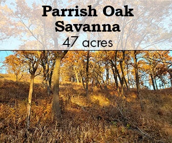 Parrish Oak Savanna