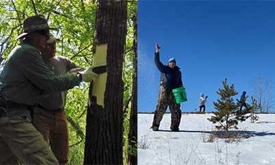 Paying Attention to the Season During Restoration Work