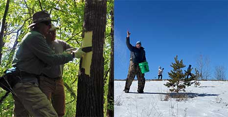 Paying Attention to the Season During Restoration Work
