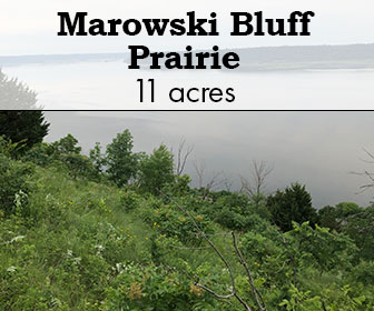 Marowski Bluff Prairie