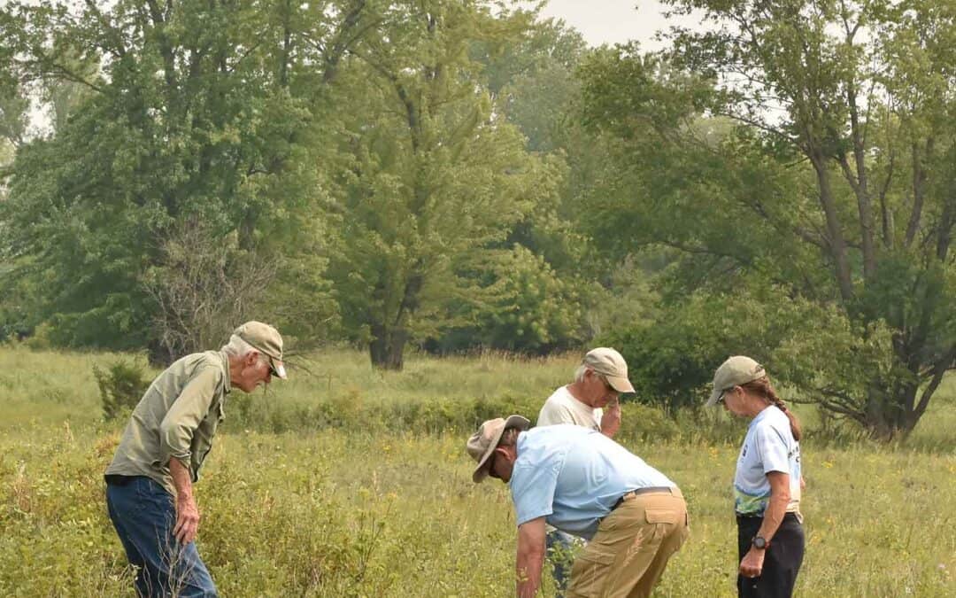 MANY RIVERS: ANNUAL POTLUCK PICNIC