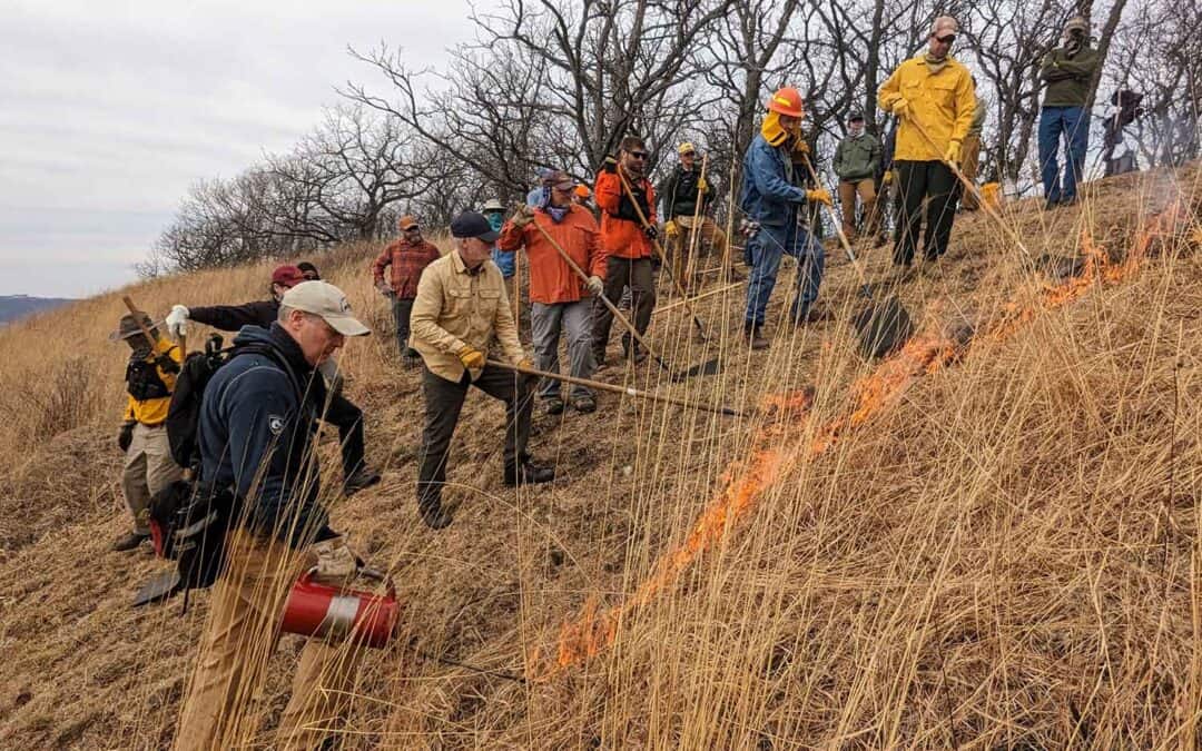 MINNESOTA DRIFTLESS: PRESCRIBED BURN CREW MEMBER TRAINING