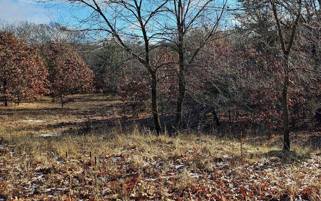 EMPIRE-SAUK: SPOTTED KNAPWEED REMOVAL AT GIORDANO OAK BARRENS AND SAND PRAIRIE