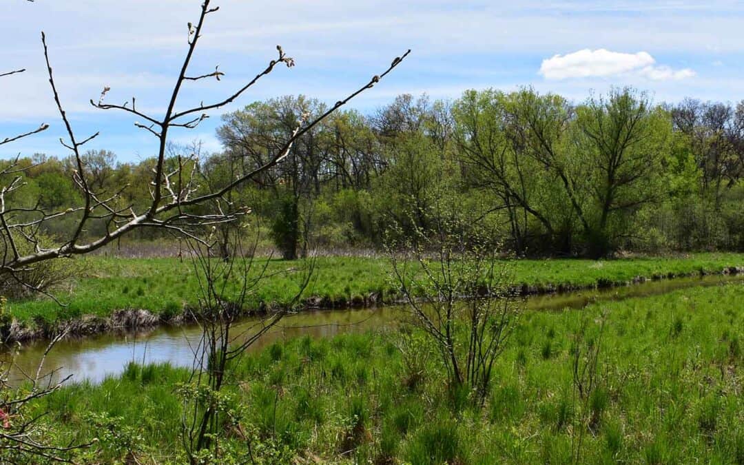 GLACIAL PRAIRIE: MUKWONAGO RIVER OAK BARRENS WORKDAY