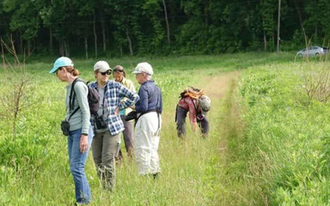 NORTHWEST ILLINOIS: HAHNAMAN SAND PRAIRIE TOUR