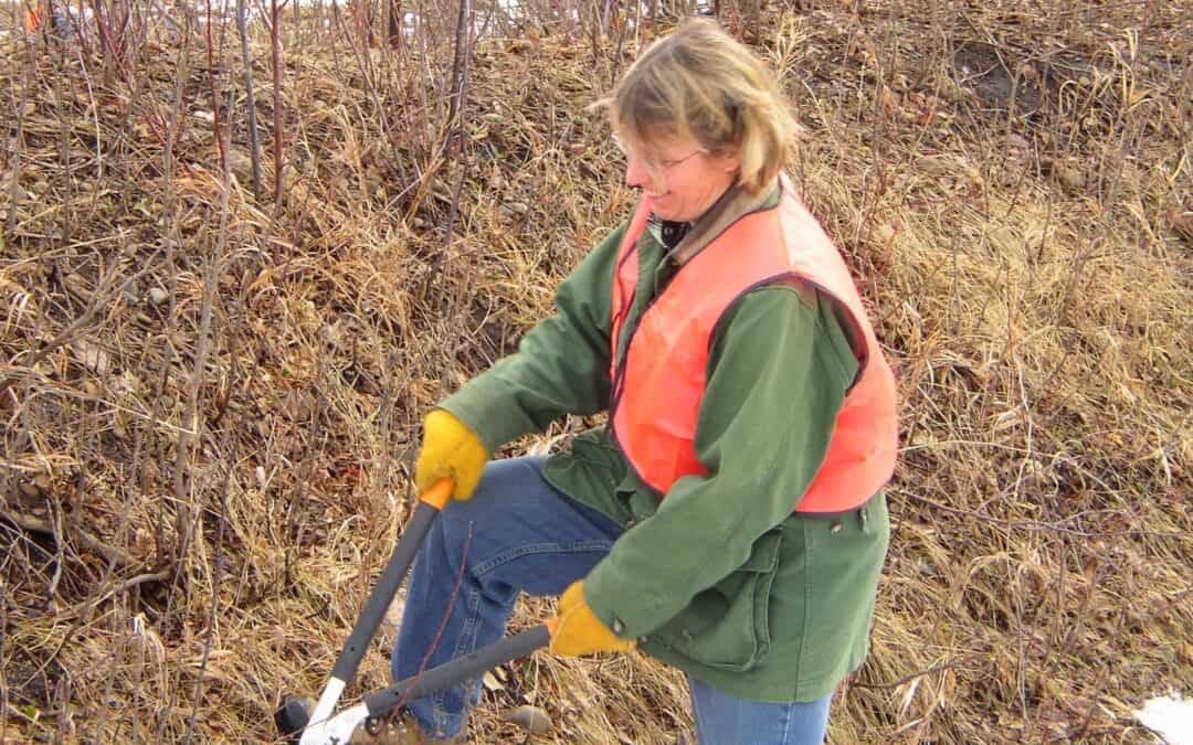 SOUTHWEST WISCONSIN WORK PARTY