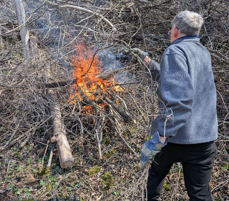 SOUTHWEST WISCONSIN: FEIST PRAIRIE WORK PARTY