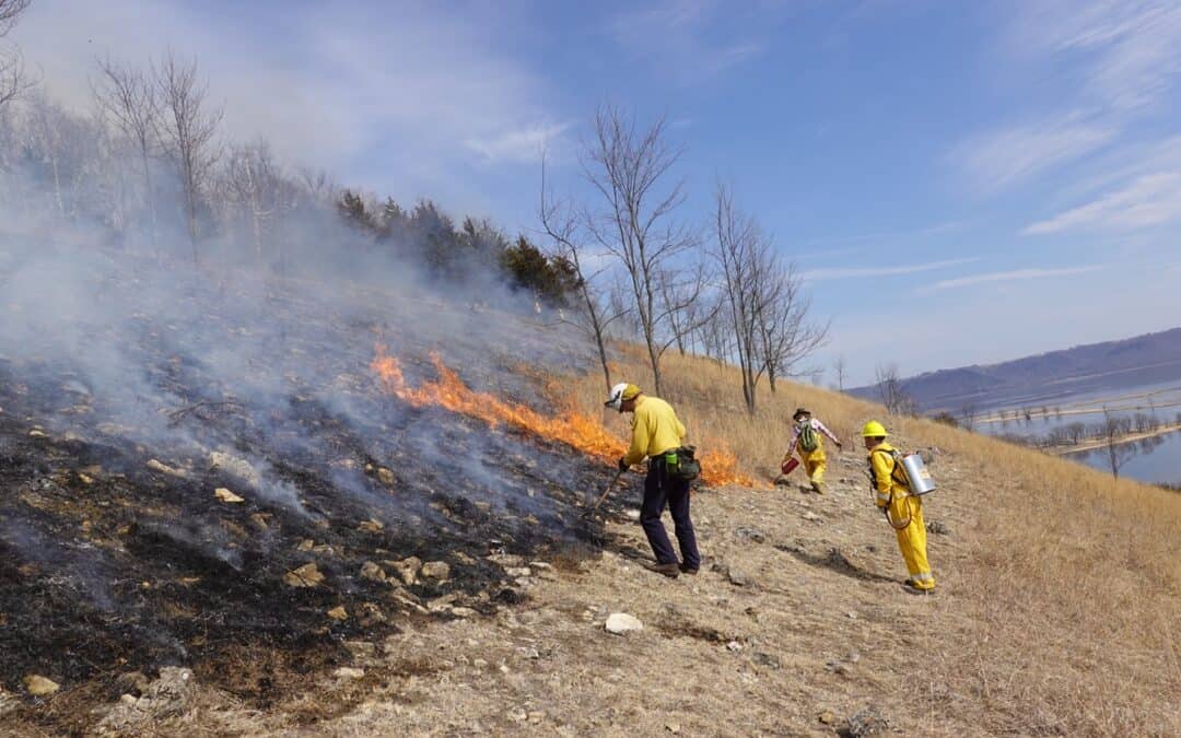 CHIPPEWA SAVANNAS PRESCRIBED BURN TRAINING