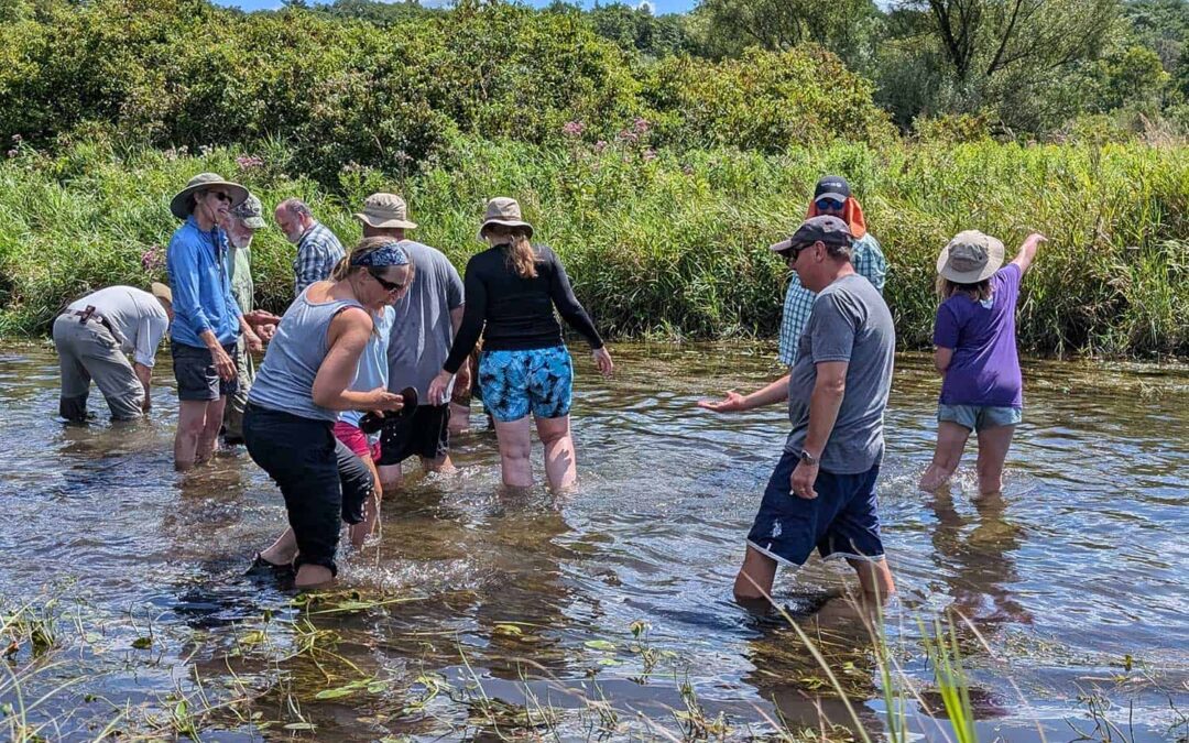 Rare Sand Barrens Ecosystem Preserved in Southeast Wisconsin