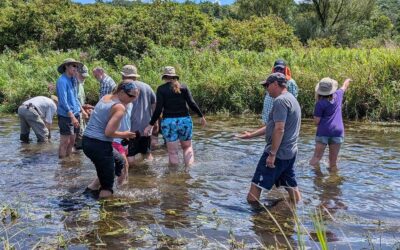 Rare Sand Barrens Ecosystem Preserved in Southeast Wisconsin