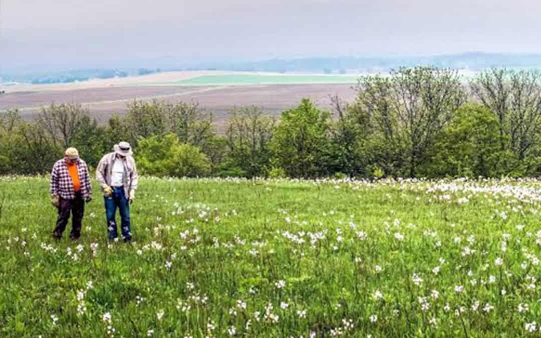PRAIRIE BLUFF FIELD TRIP