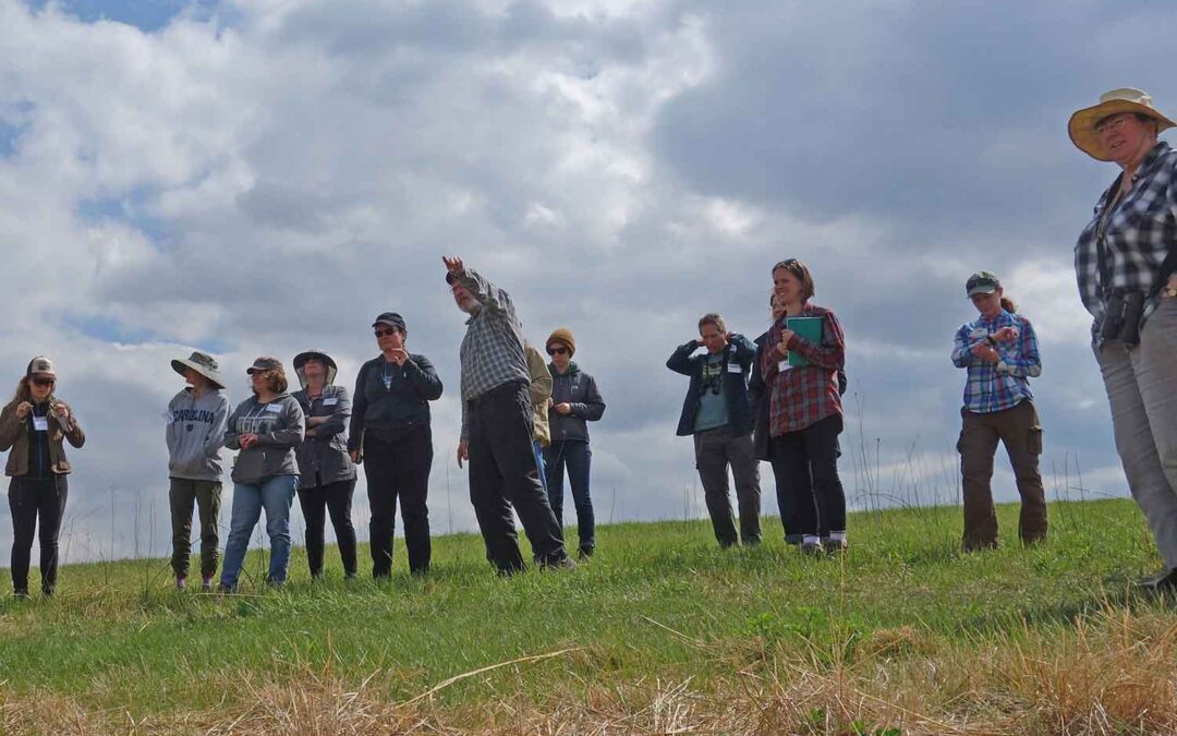 PRAIRIE SANDS: BURNING BUSH – LEARN TO IDENTIFY AND REMOVE