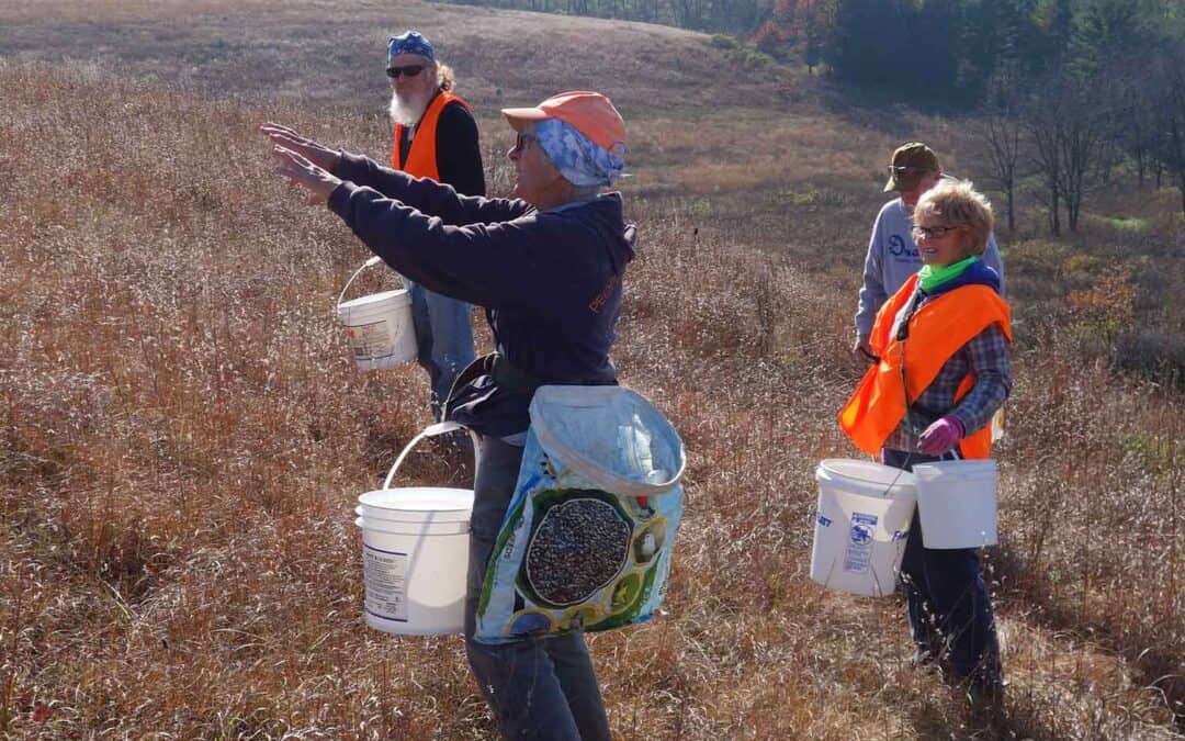 SOUTHWEST WISCONSIN: ELDRED PRAIRIE SEED COLLECTING