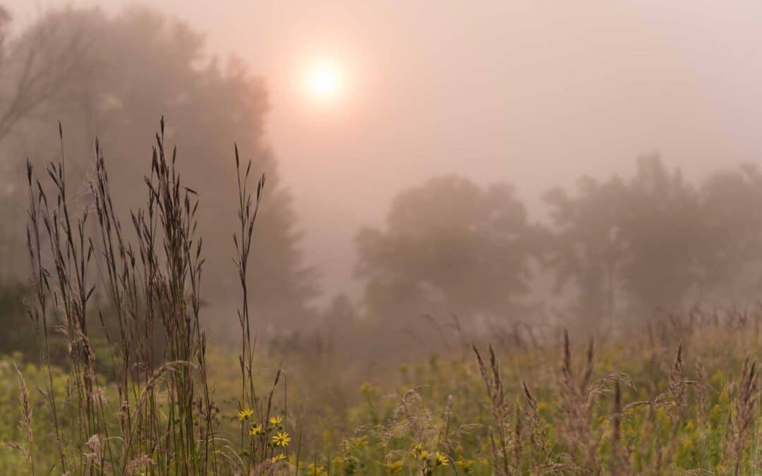 SUNRISE: KICK-OFF MEMBERSHIP MEETING