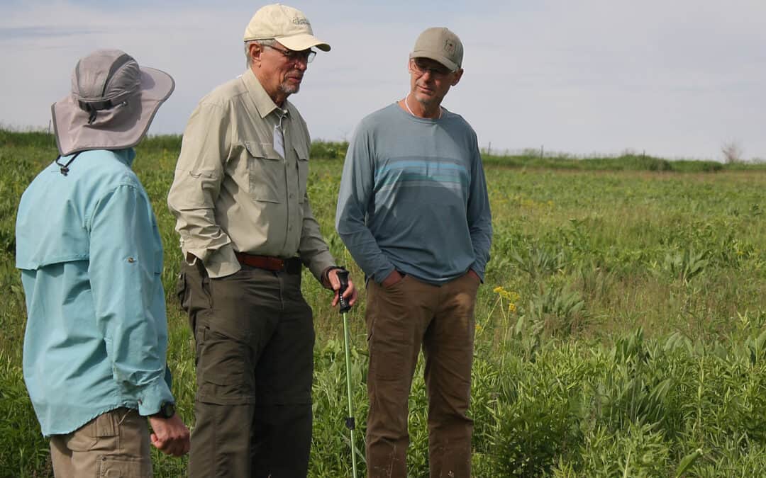 MINNESOTA DRIFTLESS: LICHENS ON THE PRAIRIE FIELD TRIP