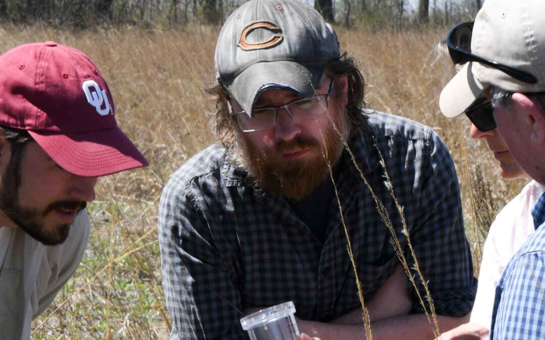 NORTHWEST ILLINOIS: EXPLORATORY SUMMER PRAIRIE WALK