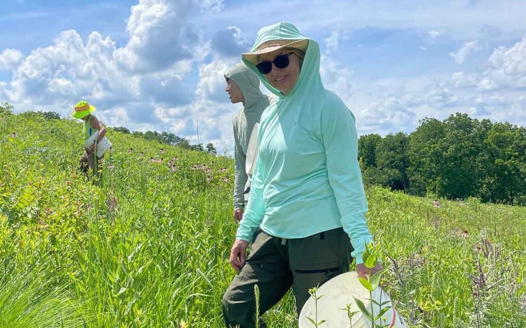 EMPIRE-SAUK: SEED COLLECTING AT MOUNDS VIEW GRASSLAND