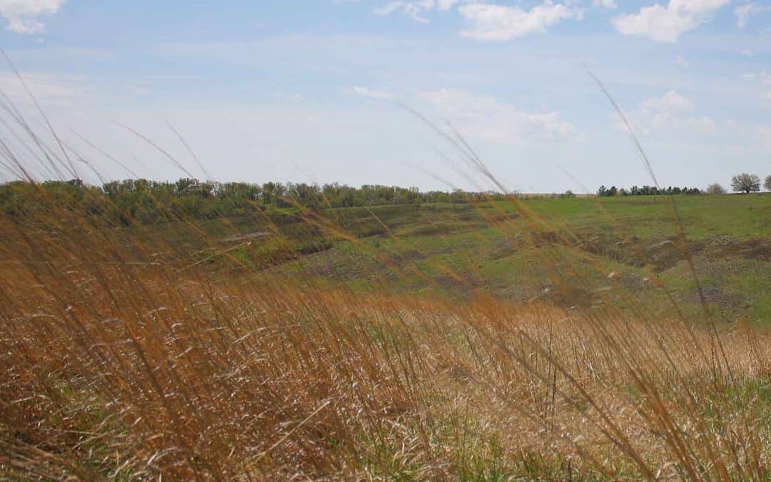 EMPIRE-SAUK: THOMAS TRACT FIELD TRIP