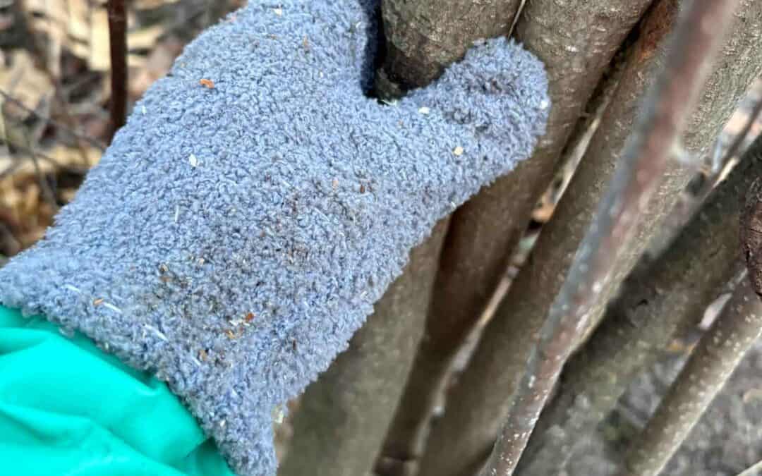 Wicking Glove Basal Bark Treatment