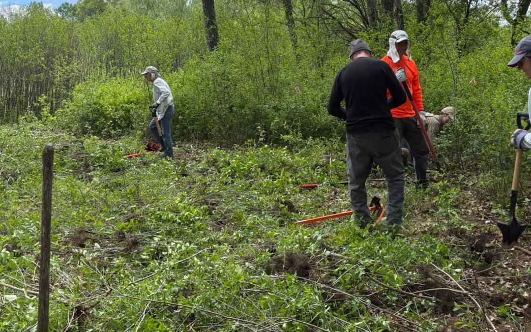 GLACIAL PRAIRIE: MUKWONAGO RIVER OAK BARRENS WORKDAY